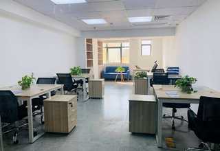 杭州品牌授权催化剂及配体发现