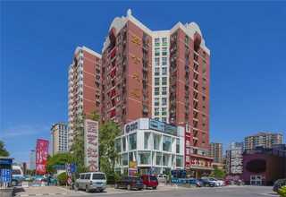 黑龙江比较好的宠物磨牙零食售后服务