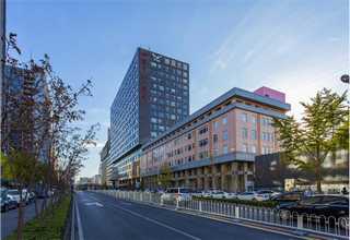 南京喷漆无油螺杆空压机价格